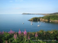 Otter Cottage, Dinas Cross Has Wi-Fi and Internet Access - UPDATED 2020 - Tripadvisor - Dinas Cross Vacation Rental