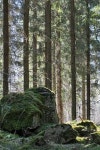Metsapirtti UPDATED 2023: 1 Bedroom House Rental in Vääksy with Grill and Sauna - Tripadvisor