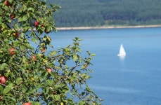 Ferienwohnung Seifert**** Has Washer and Central Heating - UPDATED 2024 - Tripadvisor - Pleinfeld Vacation Rental