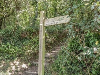 3 Rock Cottages, St Anns Chapel Has Private Yard and Parking - UPDATED 2022 - Tripadvisor - Kingston Vacation Rental