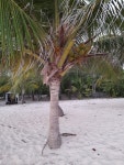 THE BEST Capesterre Family & Kid Friendly Vacation Rentals - Tripadvisor - Book Kid Friendly Vacation Rentals in Capesterre