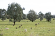 Hill View Cabin UPDATED 2022: 1 Bedroom House Rental in Euroa with Central Heating and Internet Access - Tripadvisor