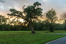 THE BEST Rosharon Family & Kid Friendly Vacation Rentals - Tripadvisor - Book Kid Friendly Vacation Rentals in Rosharon