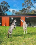 THE BEST Deloraine Vacation Rentals with Hot Tubs - Tripadvisor - Book Vacation Rentals with Hot Tubs in Deloraine