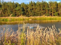 THE BEST Pickering Estates with Hot Tubs - Tripadvisor - Book Vacation Rentals with Hot Tubs in Pickering