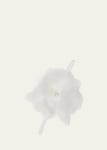 Tutu Du Monde Girls Bébé Peony Headband, Set of 3 - Bergdorf Goodman Tutu Du Monde Girls Bébé Peony Headband, Set of 3
