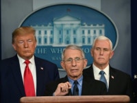 Nolte: Fauci Said Going to Malls, Movie Theaters, Gym Okay on Feb 29