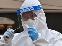 South Korea: Seoul Begins Testing Pet Cats and Dogs for Coronavirus