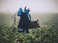 Republicans, Democrats Ask DHS Mayorkas to Import More Cheap Labor