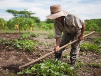 It Keeps You Going: 95-Year-Old Iowa Man Still Farms Every Week