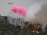 Wildfires Burn 5,000 Acres in Israel, but Miraculously Leave Homes Untouched