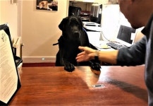 더 포시즌스 호텔, 세인트 필런스 - 호텔 가격비교