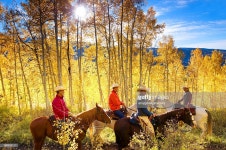 Autumn Horseback Riding Stock Photo | Getty Images a group of men cowboys take a break in an autumn aspen glade with the...