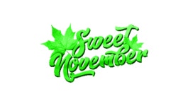 Confused November Sticker by ZOOM Organization for iOS & Android | GIPHY