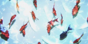 Water GIF - Find & Share on GIPHY