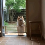 Part Creatures GIF - Find & Share on GIPHY