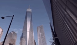 New York GIF - Find & Share on GIPHY