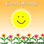 Morning GIF - Find & Share on GIPHY