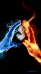 Love GIF - Find & Share on GIPHY