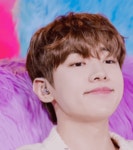 더쿠 - ☁️🐱꿈이야 ✨️최애비주얼✨️ 월드컵 4강 1조🐱☁️