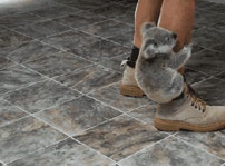 Koals GIFs - Get the best GIF on GIPHY