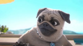 Dog Hello GIF by MightyMike - Find & Share on GIPHY