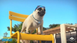 Boomerang Official GIF - Find & Share on GIPHY