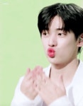 더쿠 - ☁️🐱꿈이야 ✨️최애비주얼✨️ 월드컵 32강 13조🐱☁️