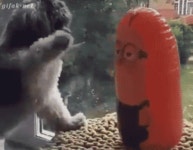Fukin GIF - Find & Share on GIPHY