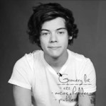Harry Styles GIF - Find & Share on GIPHY