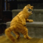 Garfield Dancing GIFs - Get the best GIF on GIPHY