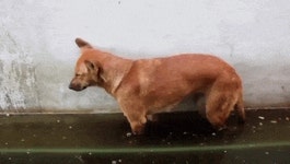 Six Ways to Energize Without Coffee | Her Campus Six Ways to Energize Without Coffee