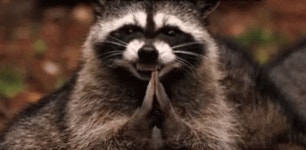 Planners gonna plan GIFs - Get the best GIF on GIPHY Planners Gonna Plan GIFs - Get the best GIF on GIPHY