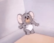 Scared Tom And Jerry GIF by moodman - Find & Share on GIPHY