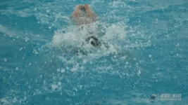 Fly Swimming GIF by GreenWave - Find & Share on GIPHY