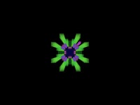 Quasi Crystals GIF - Find & Share on GIPHY