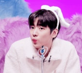 더쿠 - ☁️🐱꿈이야 ✨️최애비주얼✨️ 월드컵 32강 14조🐱☁️
