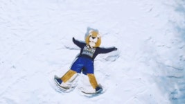Fiupanther GIFs - Get the best GIF on GIPHY
