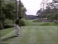 Tiger Woods GIF - Find & Share on GIPHY