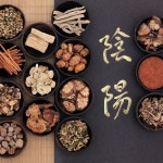 7 foods to avoid during your period - Her World Singapore 7 foods to avoid during your period