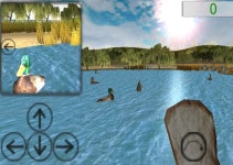 Feed the Duck 3D Android game - IndieDB Feed the Duck 3D Android game