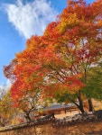 고흥 썬밸리 리조트 | 인터파크 투어 고흥 썬밸리 리조트