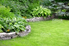 푸른 잔디와 아름 다운 정원 앞마당 또는 뒷마당에 대한 스톡 사진 및 기타 이미지 - iStock Beautiful garden, lawn with green grass