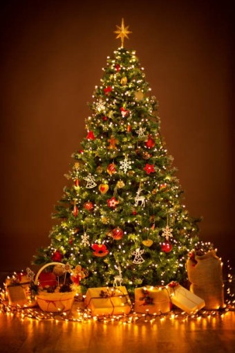 Best Christmas Tree Stock Photos, Pictures & Royalty-Free Images - iStock