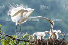성 찬 식 0명에 대한 스톡 사진 및 기타 이미지 | iStock Communion