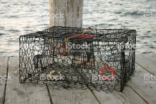 Crab Trap 앉아 도크 게잡이 통발에 대한 스톡 사진 및 기타 이미지 - iStock Crab trap 앉아 도크