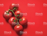 신선한 토마토 0명에 대한 스톡 사진 및 기타 이미지 | iStock Fresh tomatoes photographed rustic style on wood background