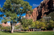 시온 산장형 시온 국립 공원에 대한 스톡 사진 및 기타 이미지 - iStock Zion Lodge at Zion National Park near Springdale, Utah.... 