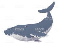 퍼니 혹등 고래 혹등고래에 대한 스톡 벡터 아트 및 기타 이미지 - iStock vector illustration of cute funny humpback whale