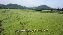 JIBS | 정규프로그램 가시리 새가름과 버들못 학살터